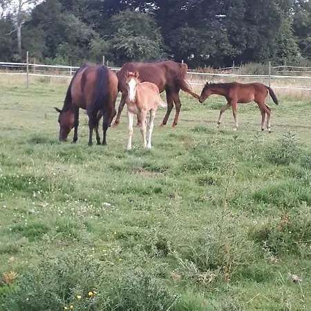 Holiday home Du Haras De Vales *