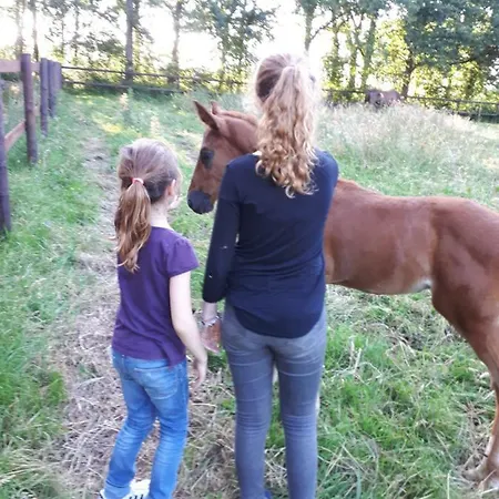 Du Haras De Vales