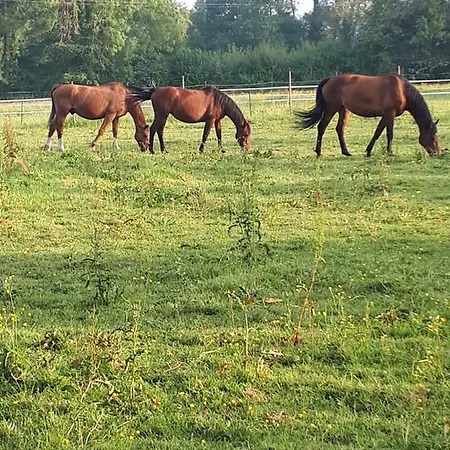 Holiday home Du Haras De Vales Moult