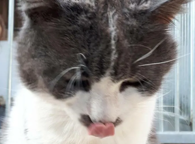 Du Haras De Vales بيت للعطل