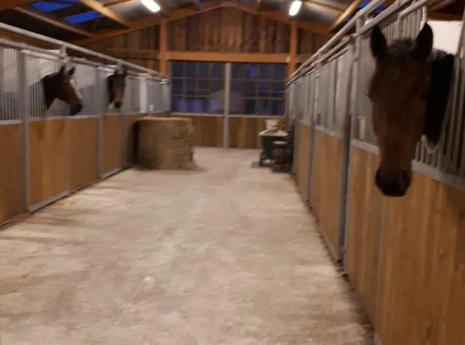 Du Haras De Vales بيت للعطل *